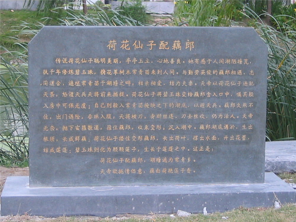 江蘇淮安荷花公園景觀工程
