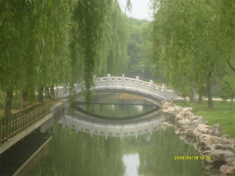 星星港灣