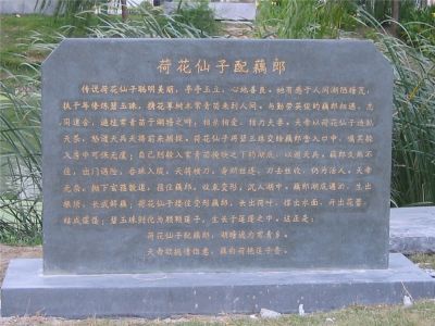江蘇淮安荷花公園景觀工程